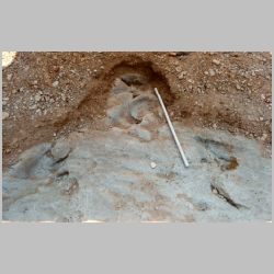 DSCN0513cr New tracks E gravel.jpg